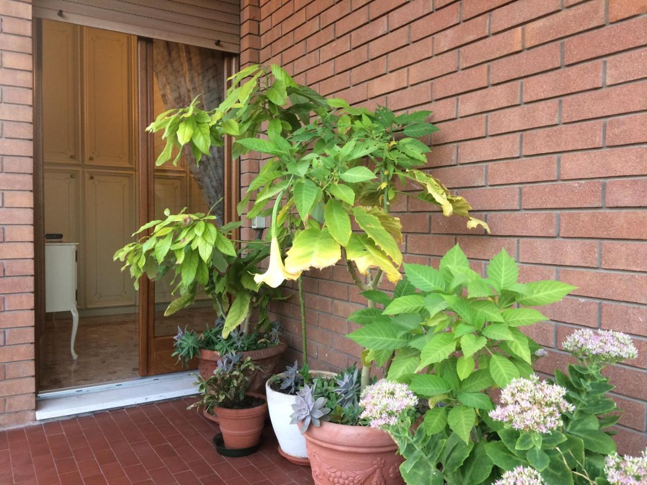 B&B Pergolesi Verona Ngoại thất bức ảnh